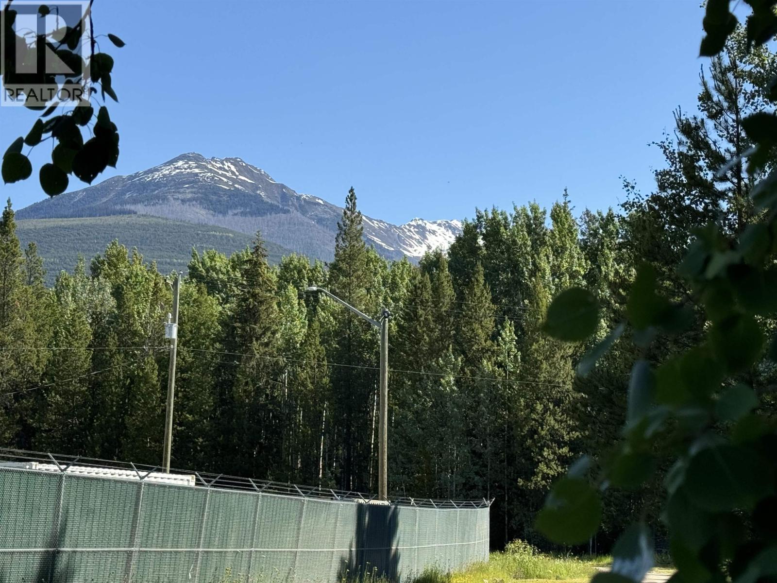1360 Main Street, Valemount, British Columbia  V0E 2Z0 - Photo 8 - R3129847