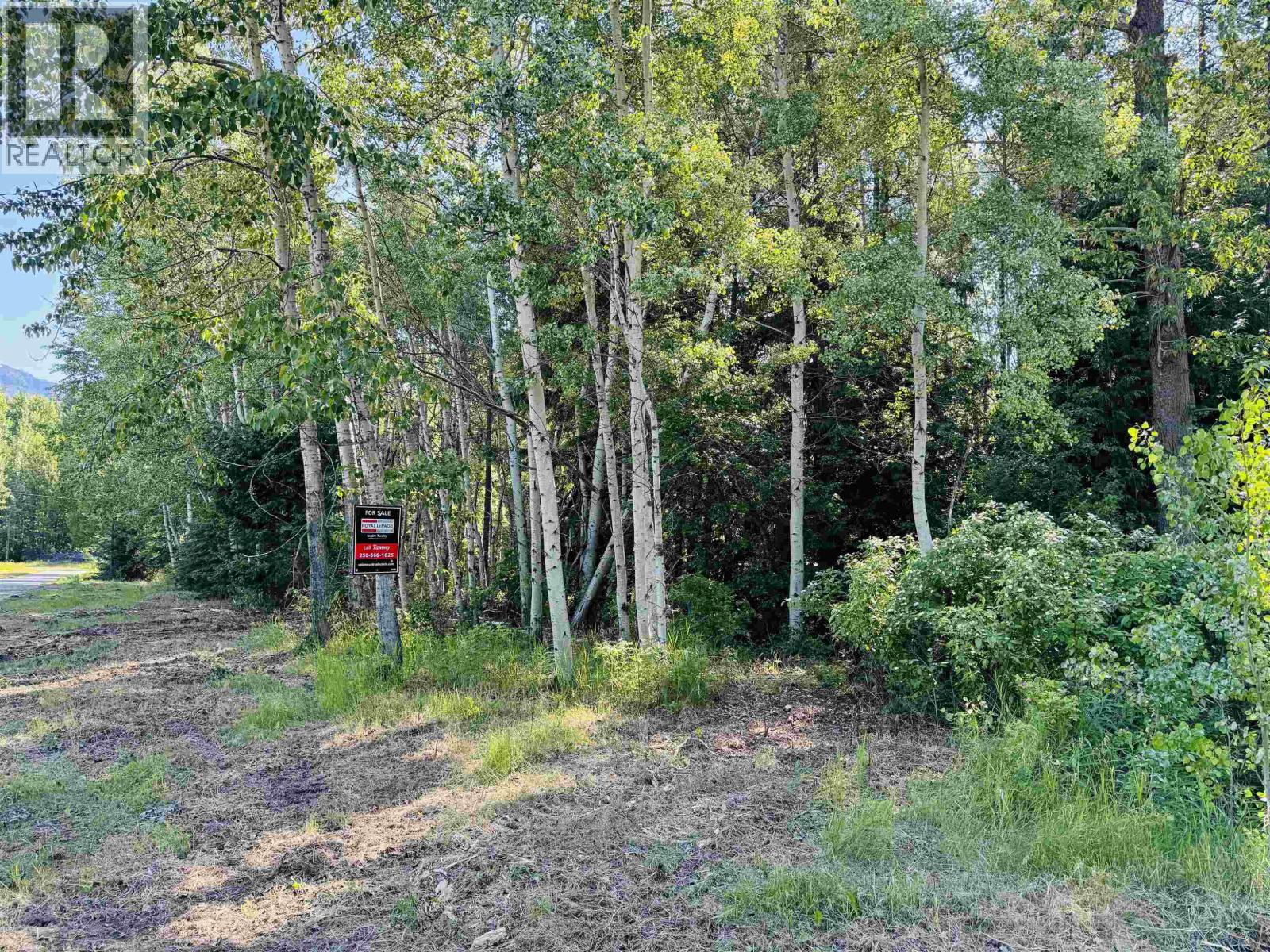 1360 Main Street, Valemount, British Columbia  V0E 2Z0 - Photo 5 - R3129847