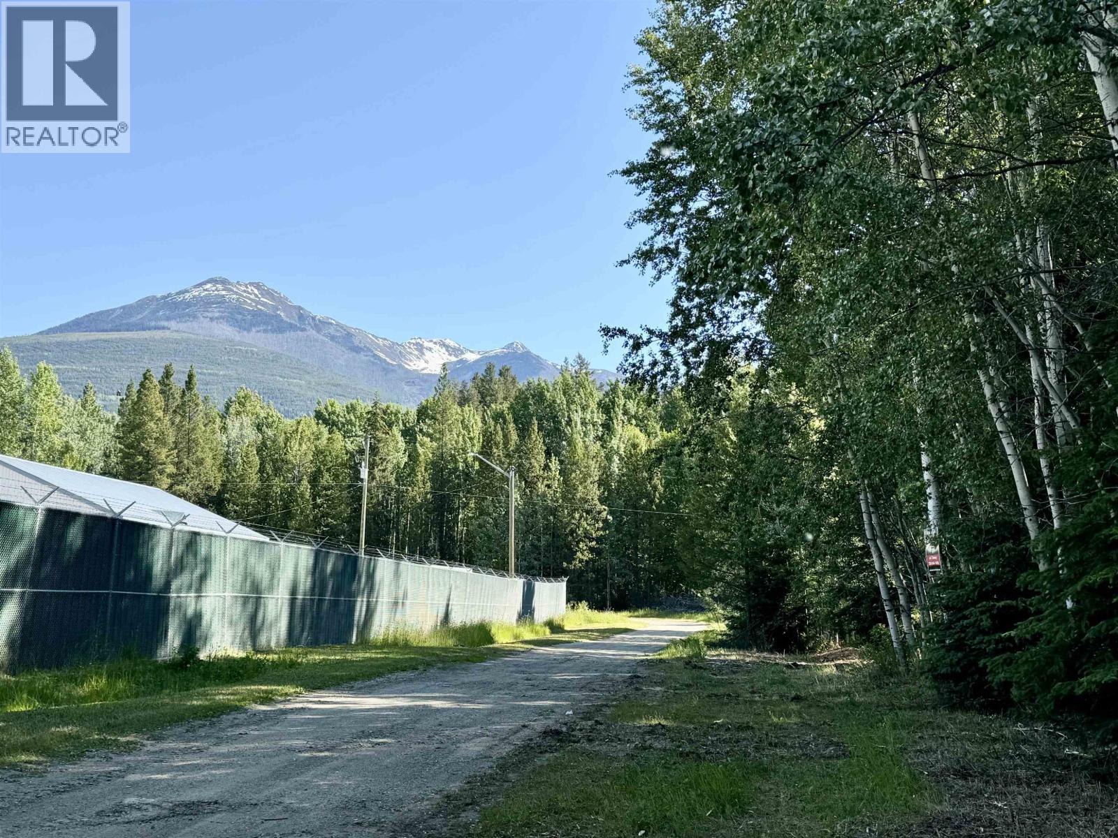 1360 Main Street, Valemount, British Columbia  V0E 2Z0 - Photo 6 - R3129847