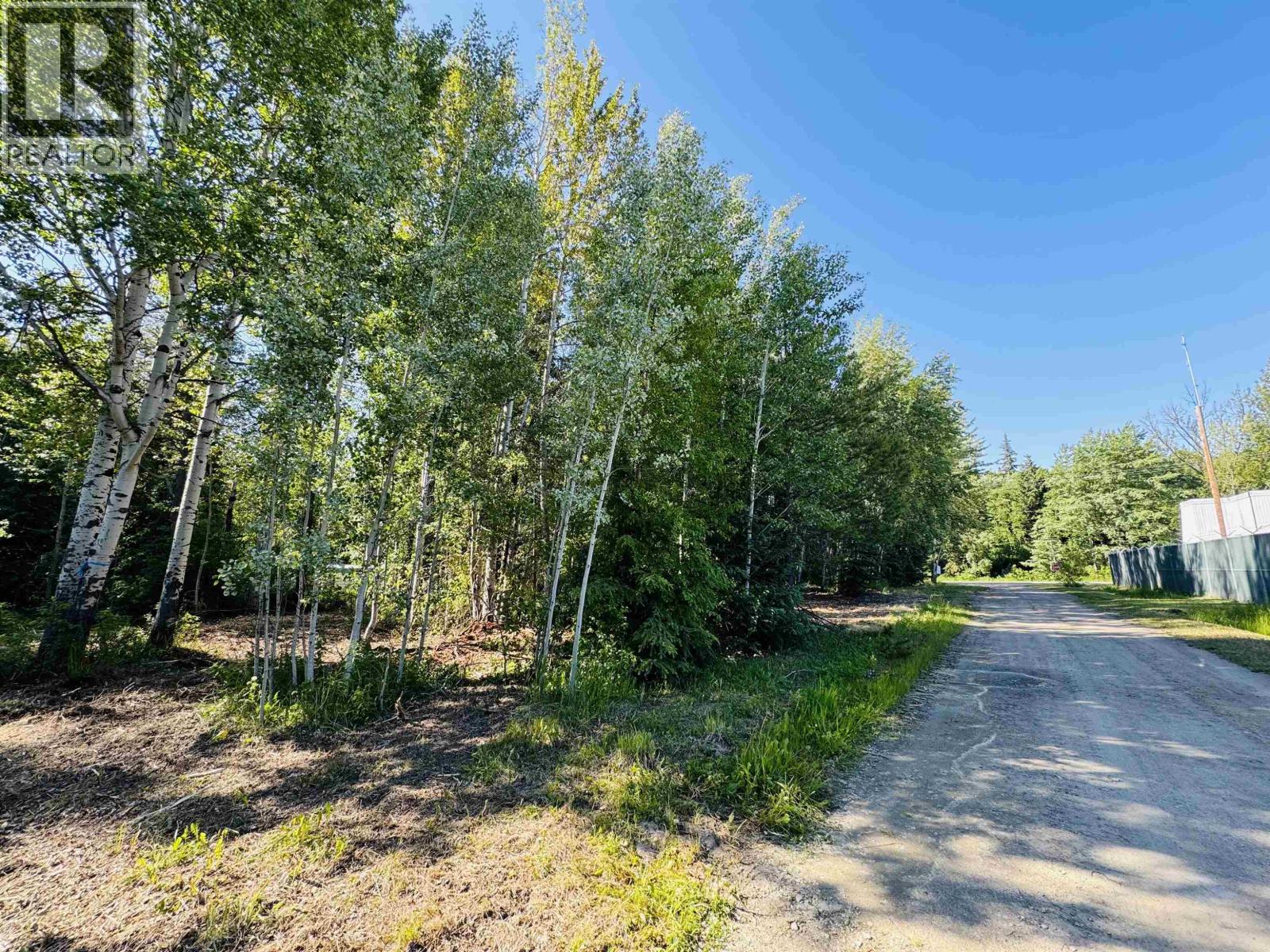 1360 Main Street, Valemount, British Columbia  V0E 2Z0 - Photo 10 - R3129847