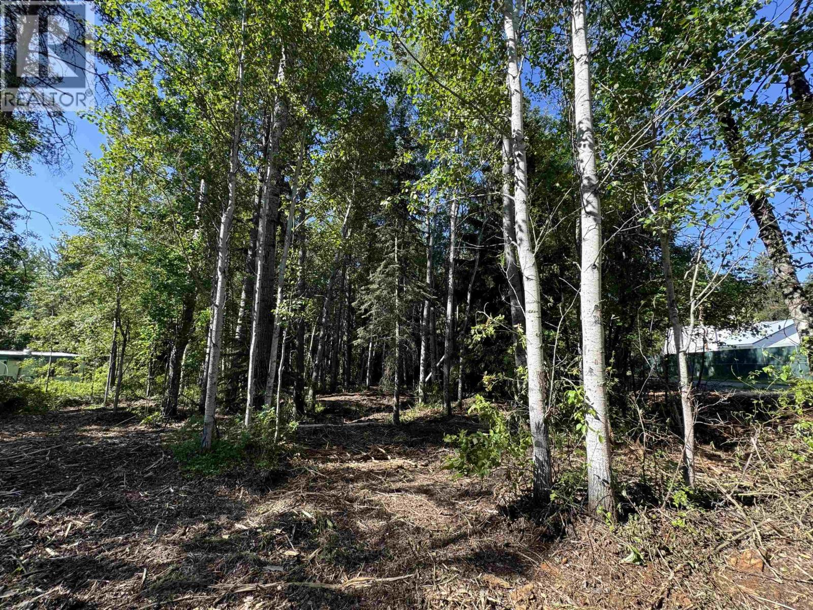1360 Main Street, Valemount, British Columbia  V0E 2Z0 - Photo 11 - R3129847