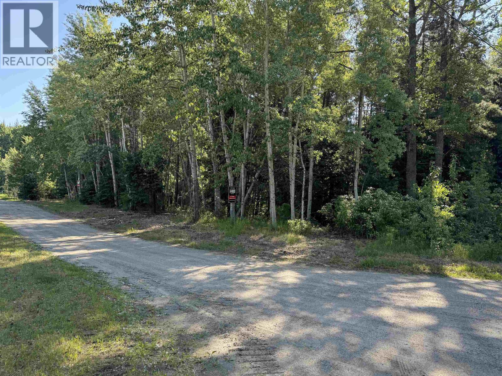 1360 Main Street, Valemount, British Columbia  V0E 2Z0 - Photo 2 - R3129847