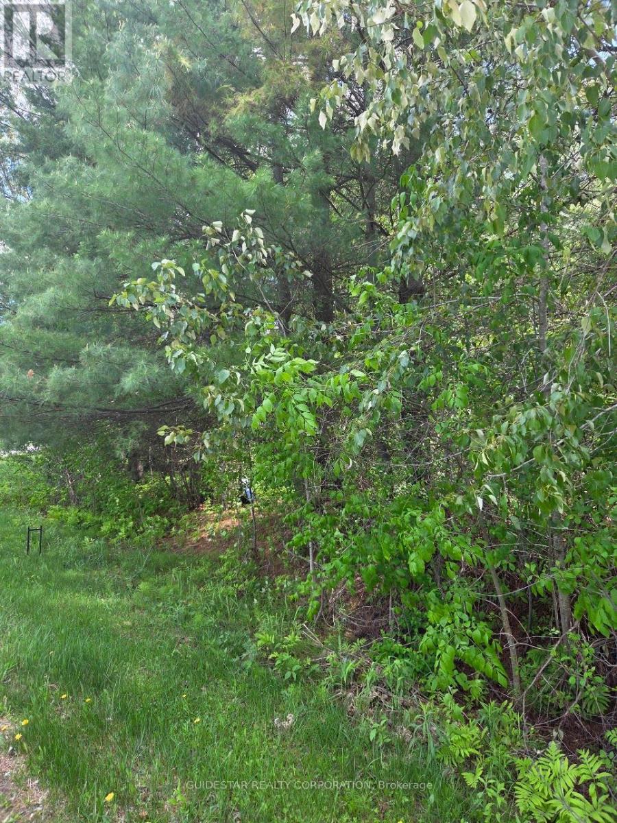 101 William Street, South Dundas, Ontario  K0C 1C0 - Photo 2 - X13028602