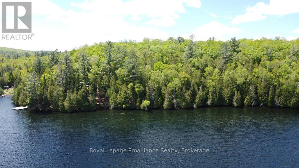 22202 Highway 41, Addington Highlands, Ontario  K0H 1L0 - Photo 28 - X13218566