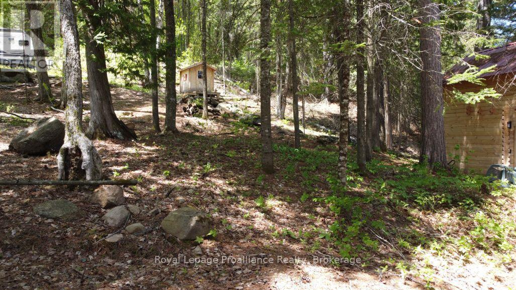 22202 Highway 41, Addington Highlands, Ontario  K0H 1L0 - Photo 4 - X13218566