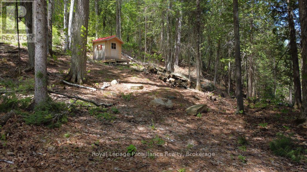 22202 Highway 41, Addington Highlands, Ontario  K0H 1L0 - Photo 5 - X13218566