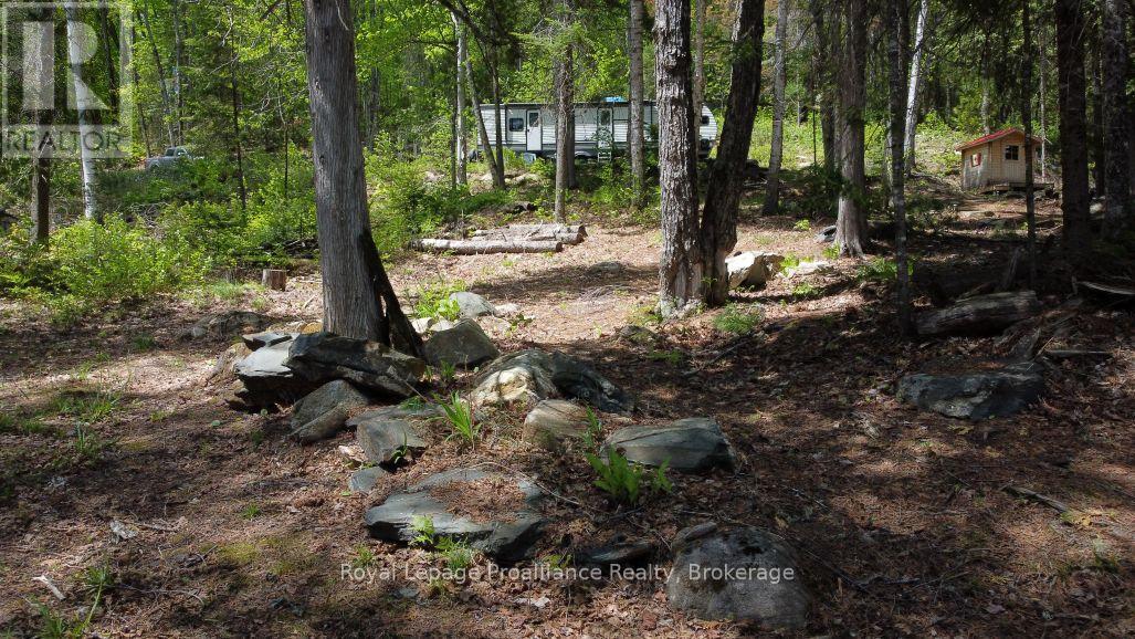 22202 Highway 41, Addington Highlands, Ontario  K0H 1L0 - Photo 6 - X13218566