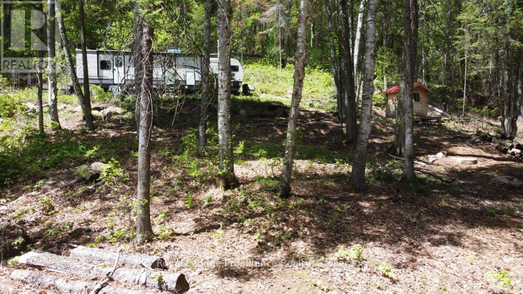 22202 Highway 41, Addington Highlands, Ontario  K0H 1L0 - Photo 7 - X13218566