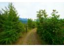 26 BIRCHGROVE Bend, Kaslo, BC V0G 1M0