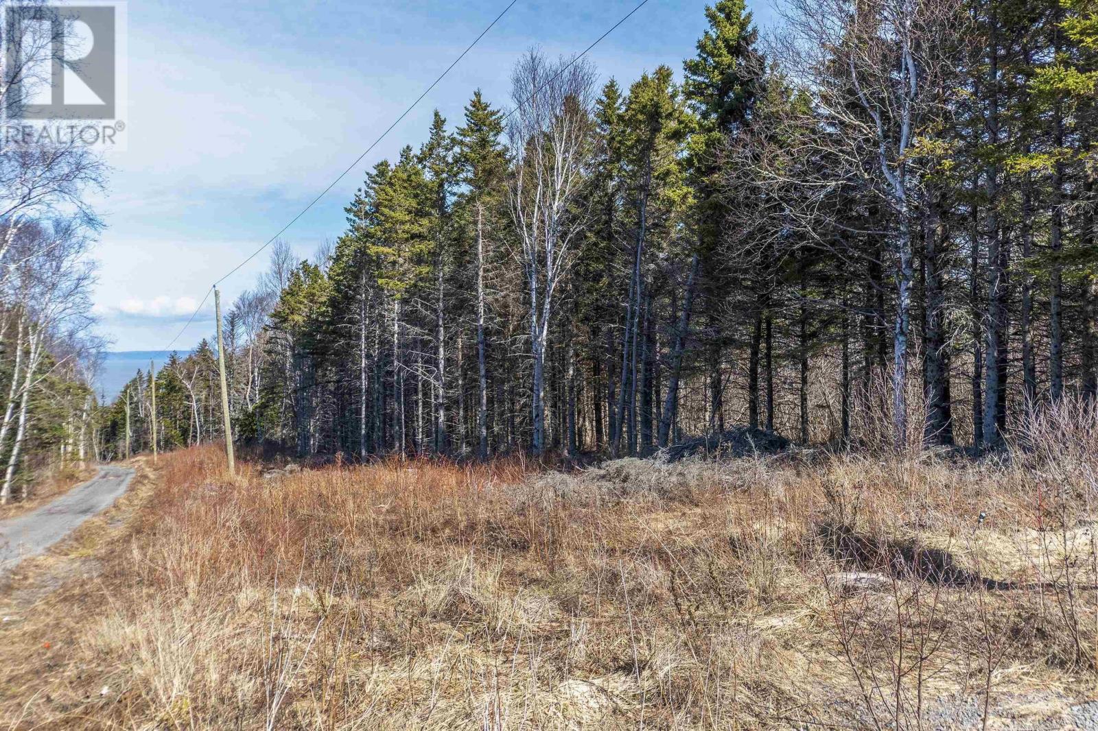 Lot 4 Old Baxter Mill Road, Baxters Harbour, Nova Scotia  B0P 1H0 - Photo 14 - 202607333