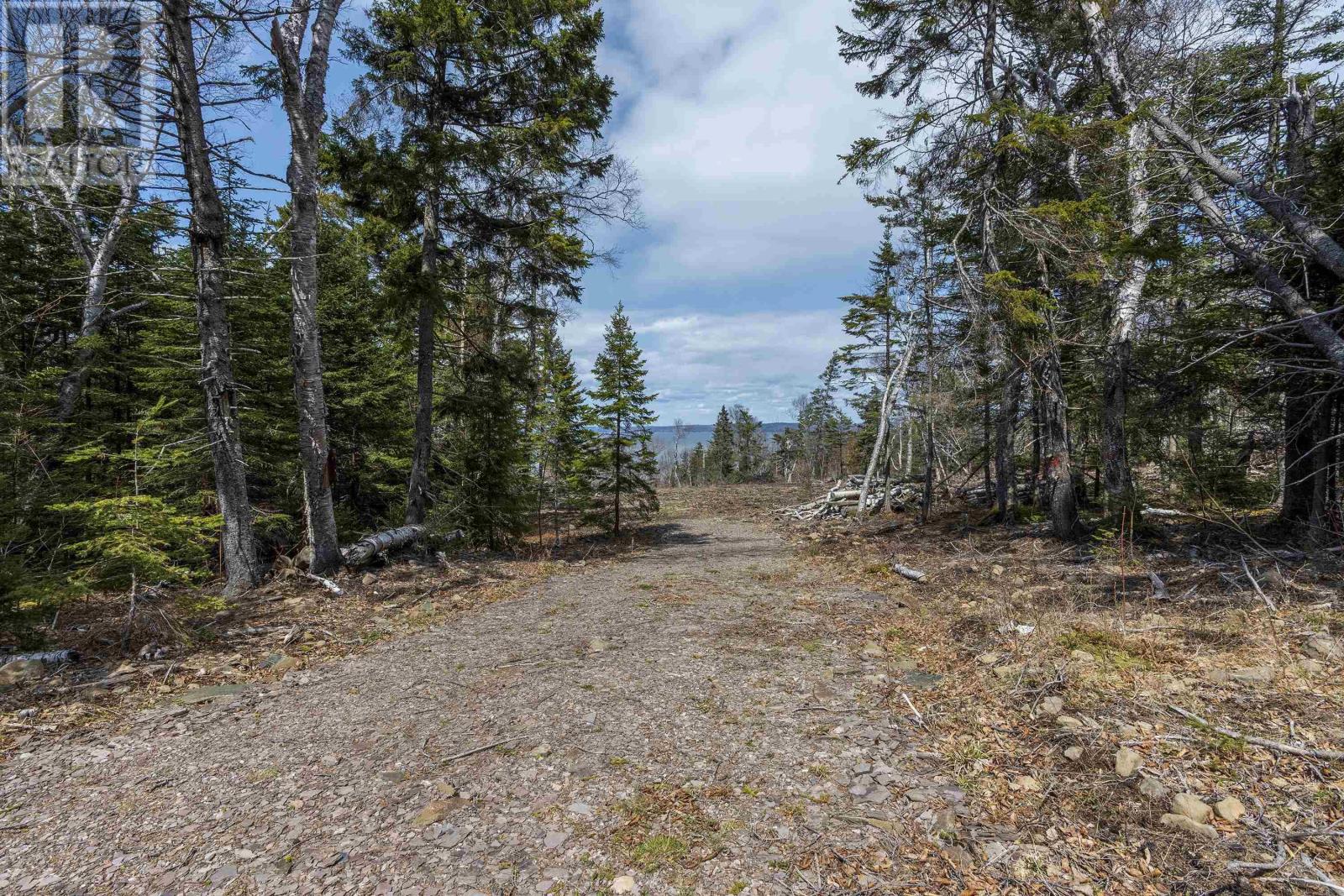 Lot 4 Old Baxter Mill Road, Baxters Harbour, Nova Scotia  B0P 1H0 - Photo 19 - 202607333
