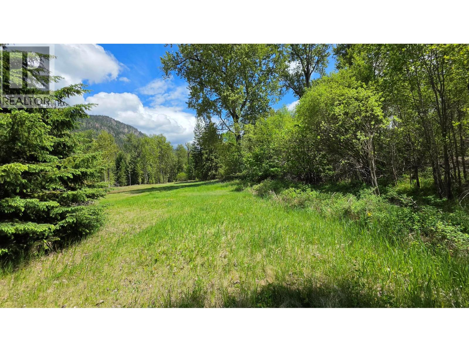 71 Byers Road, Cherryville, British Columbia  V0E 2G1 - Photo 27 - 10389522