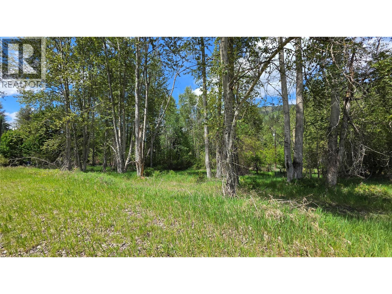 71 Byers Road, Cherryville, British Columbia  V0E 2G1 - Photo 38 - 10389522