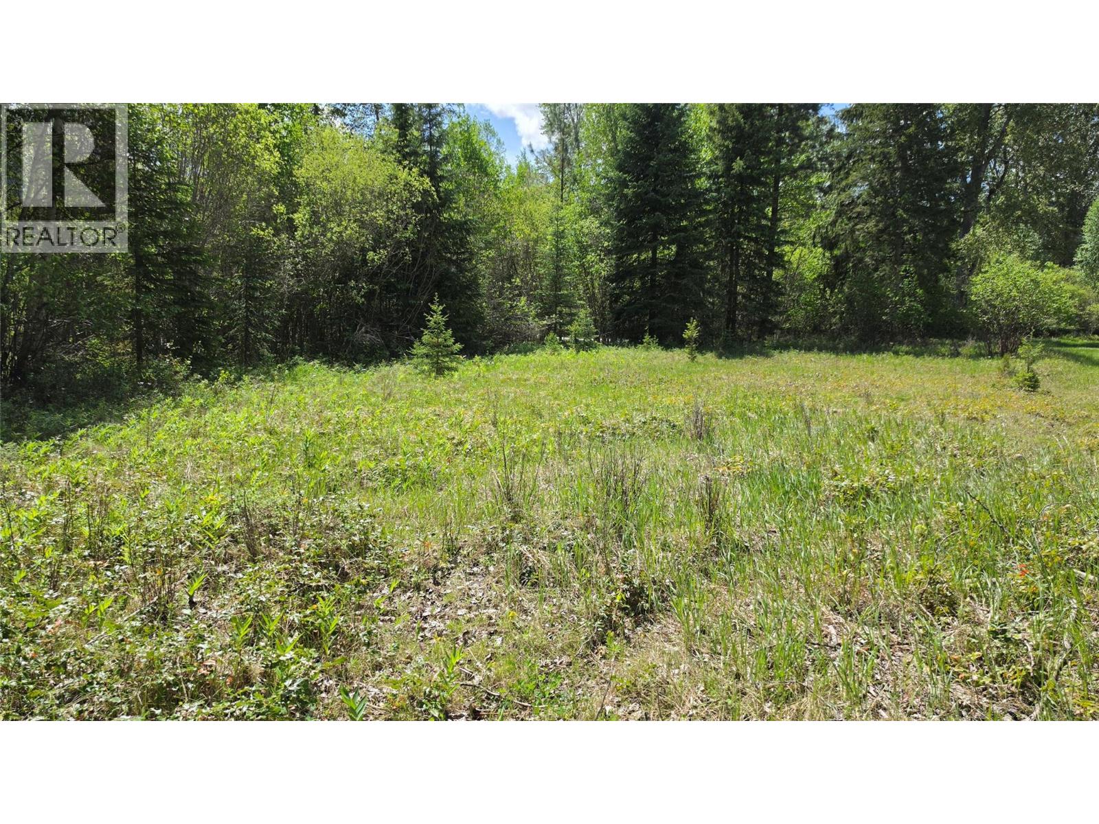 71 Byers Road, Cherryville, British Columbia  V0E 2G1 - Photo 30 - 10389522