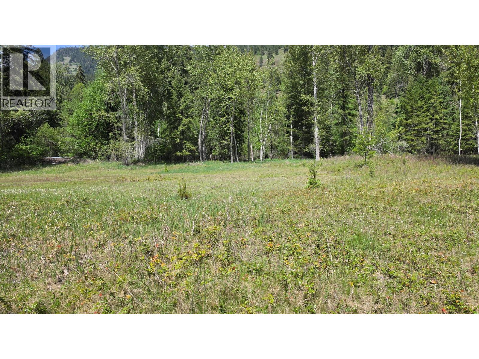 71 Byers Road, Cherryville, British Columbia  V0E 2G1 - Photo 33 - 10389522