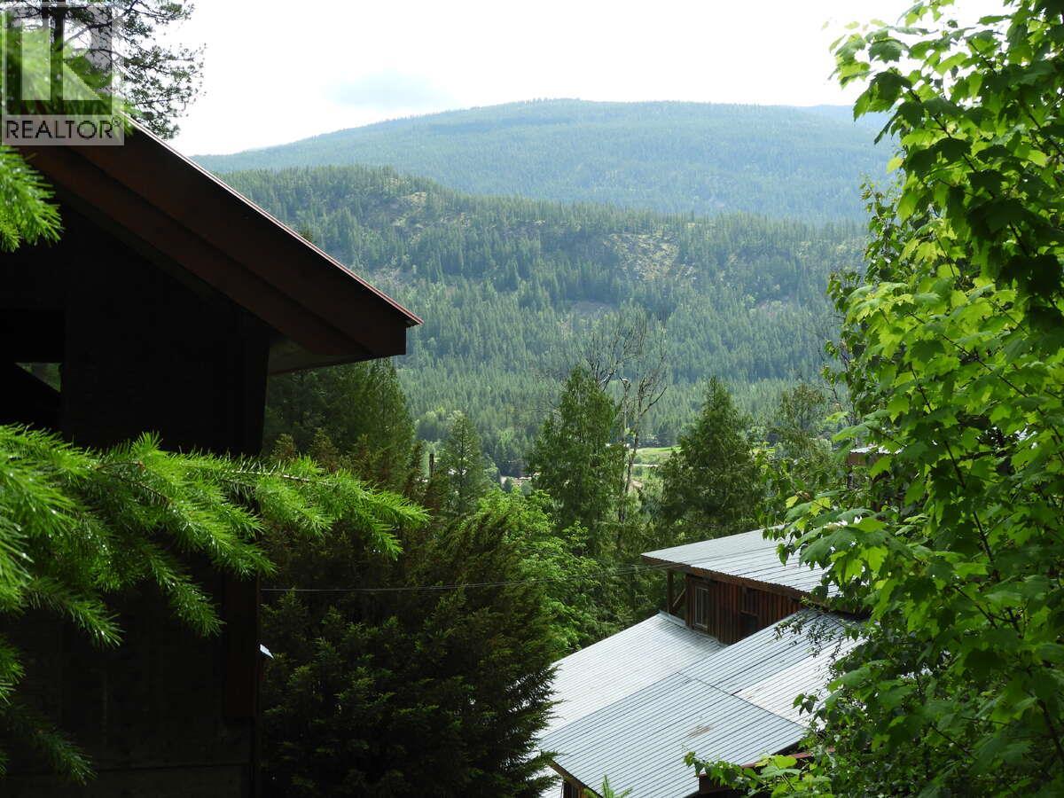 6119 Slocan River Road, Appledale, British Columbia  V0G 2J0 - Photo 44 - 10352161