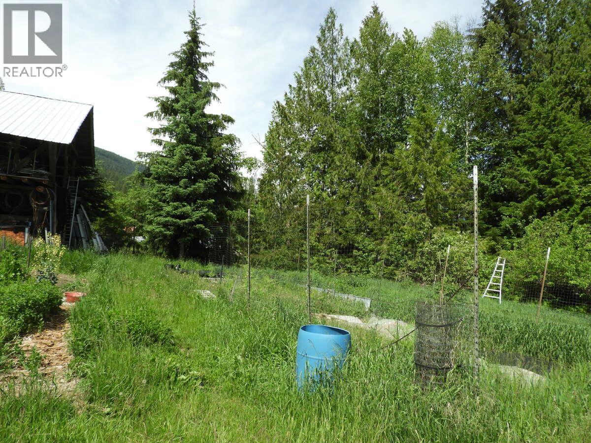 6119 Slocan River Road, Appledale, British Columbia  V0G 2J0 - Photo 43 - 10352161