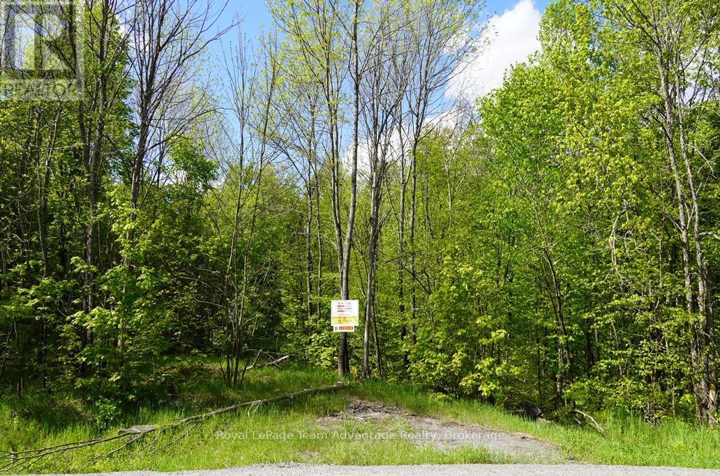 0 Hurdville Road S, Mckellar, Ontario  P2A 0B5 - Photo 4 - X13213544
