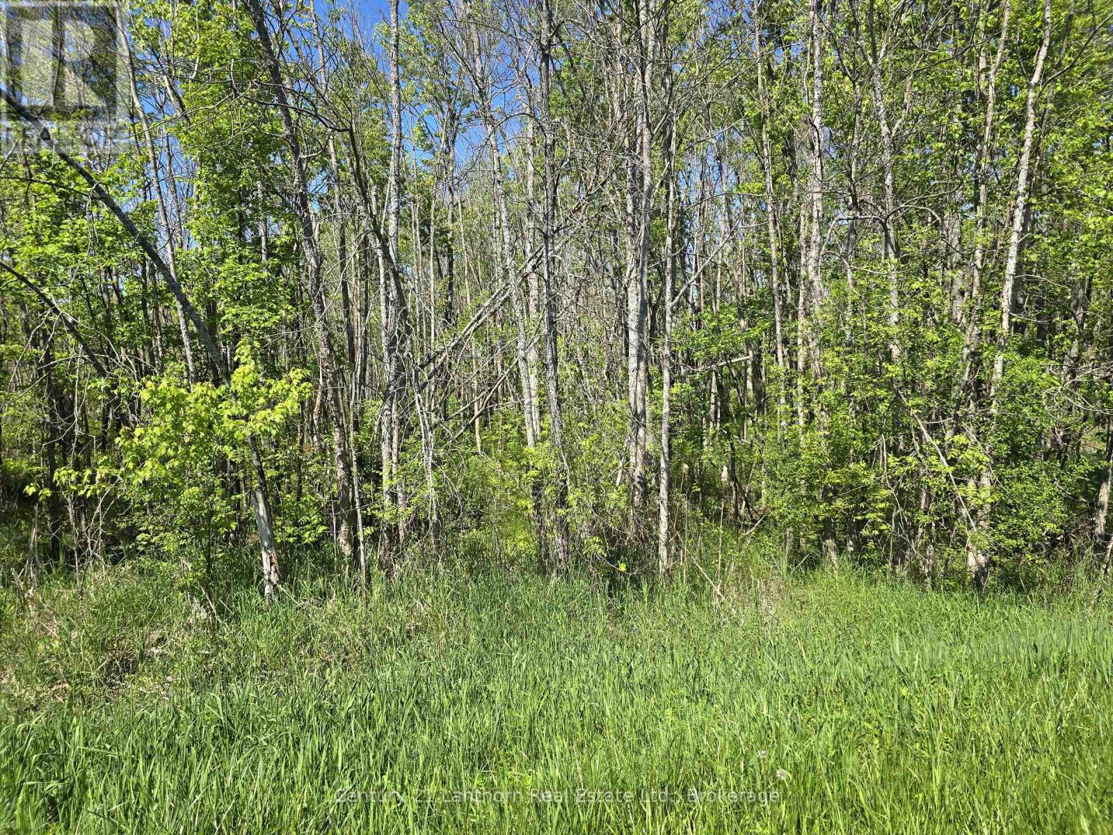 00 Shannonville Road, Tyendinaga, Ontario K0K 1V0 - Photo 2 - X13218776