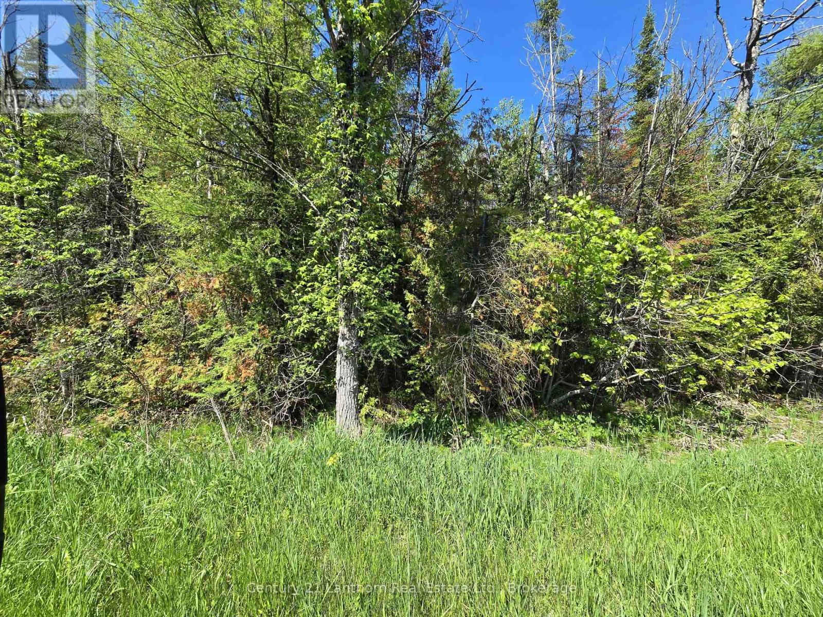00 Shannonville Road, Tyendinaga, Ontario K0K 1V0 - Photo 5 - X13218776