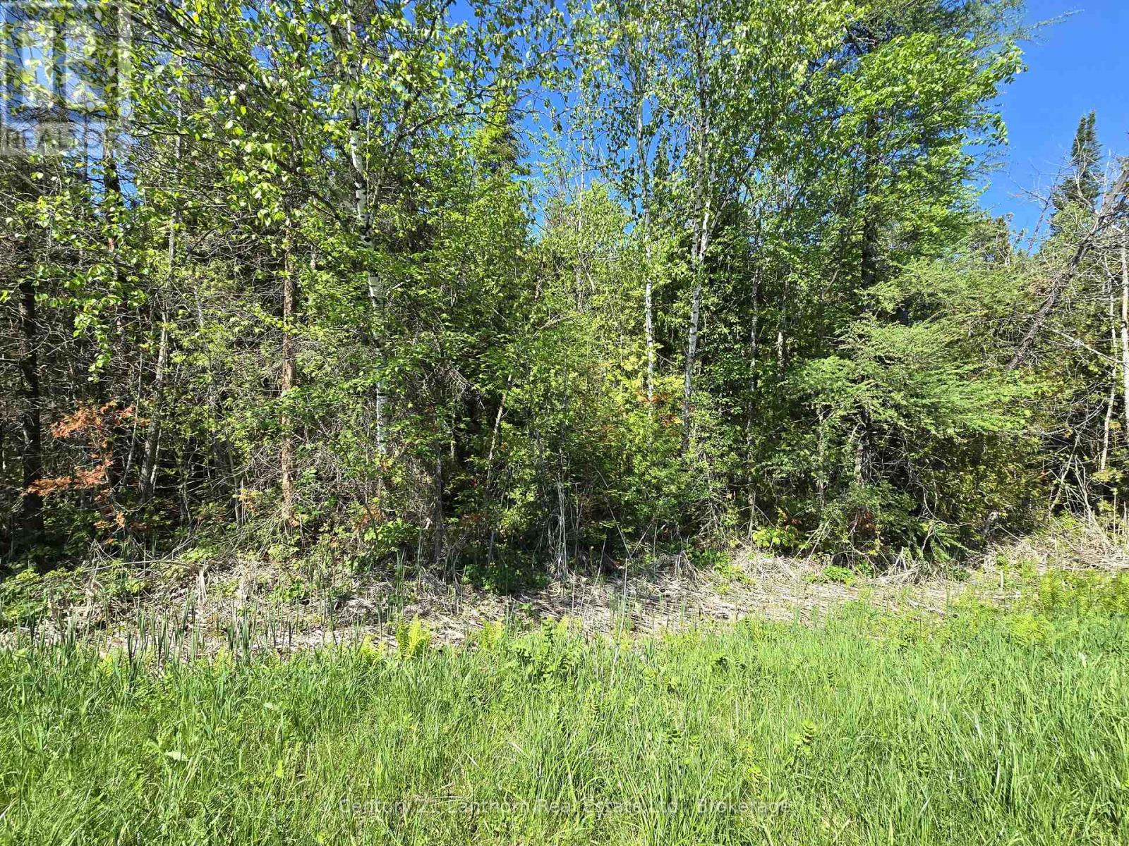 00 Shannonville Road, Tyendinaga, Ontario K0K 1V0 - Photo 6 - X13218776