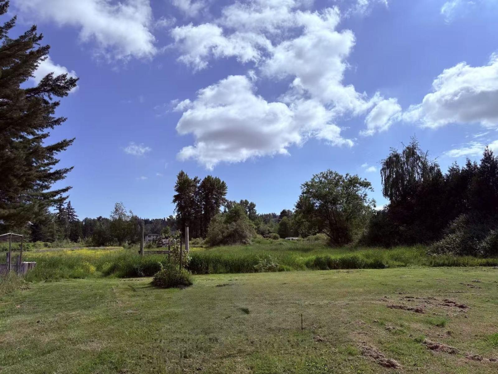 18106 32 Avenue, Surrey, British Columbia  V3Z 1C6 - Photo 20 - R3117502