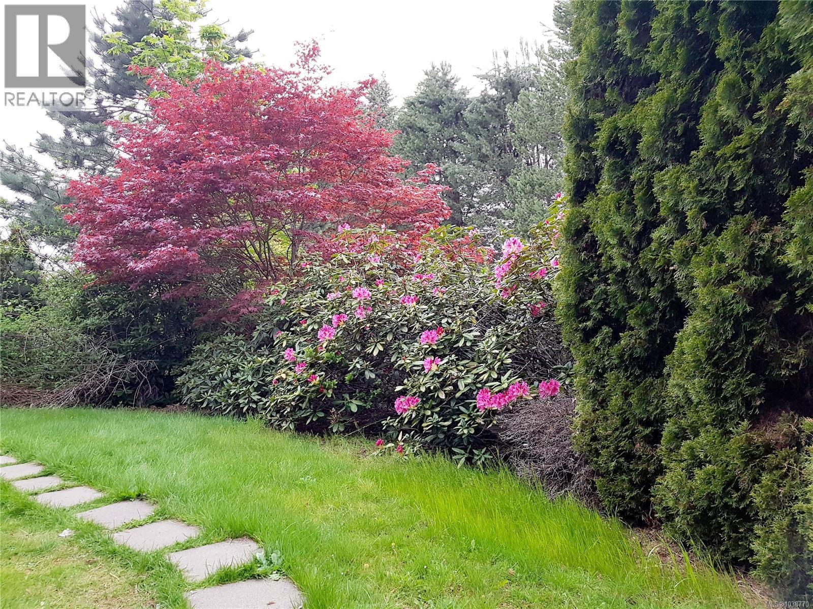 4355 Emily Carr Dr, Saanich, British Columbia  V8X 5E3 - Photo 38 - 1038770