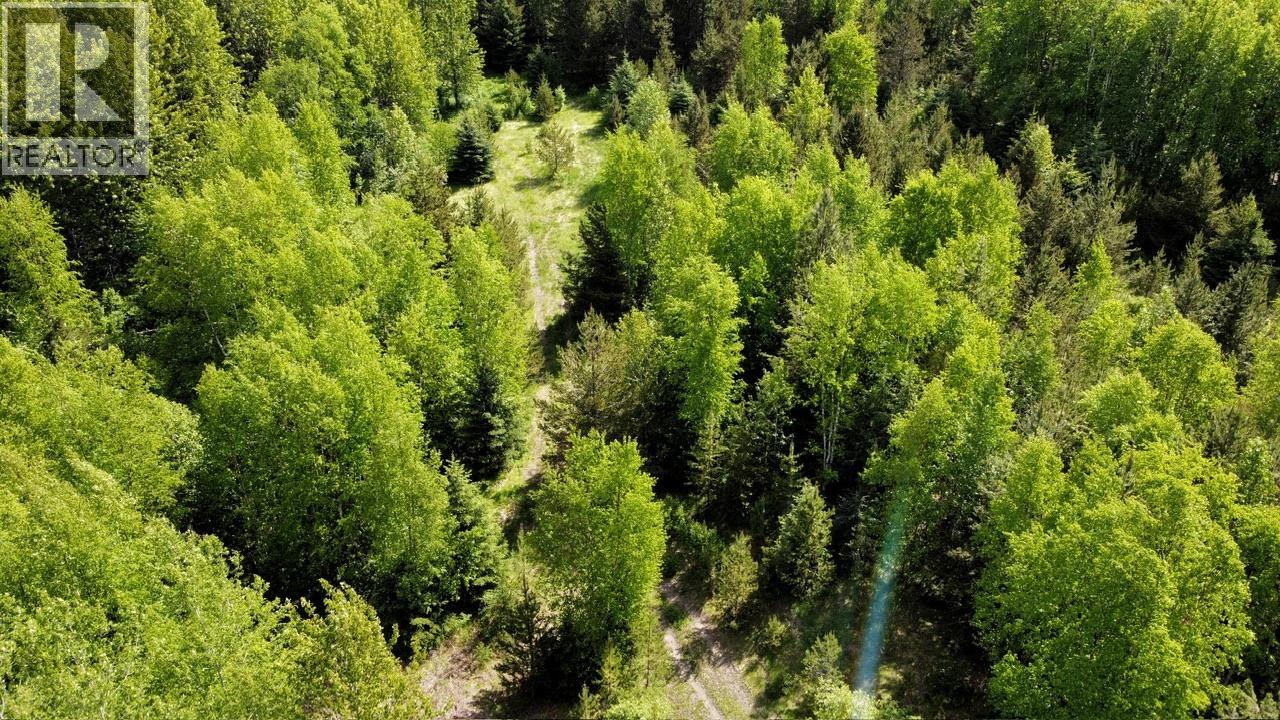 Lot A & 3 Cedarvale Kitwanga Road, Kitwanga, British Columbia  V0J 2A0 - Photo 12 - R3125390