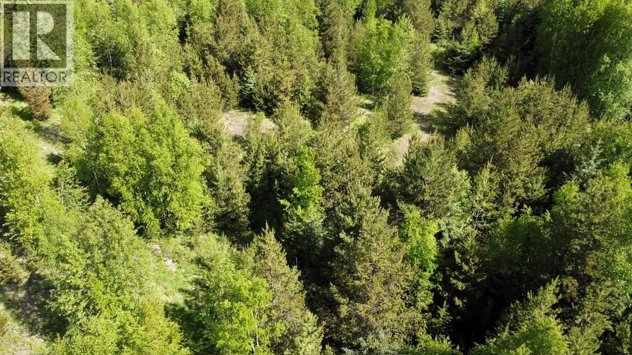 Lot A & 3 Cedarvale Kitwanga Road, Kitwanga, British Columbia  V0J 2A0 - Photo 11 - R3125390