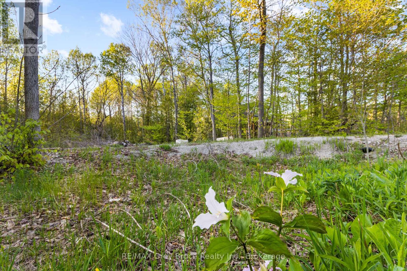71 Maple Drive, Northern Bruce Peninsula, Ontario  N0H 1Z0 - Photo 10 - X13218886