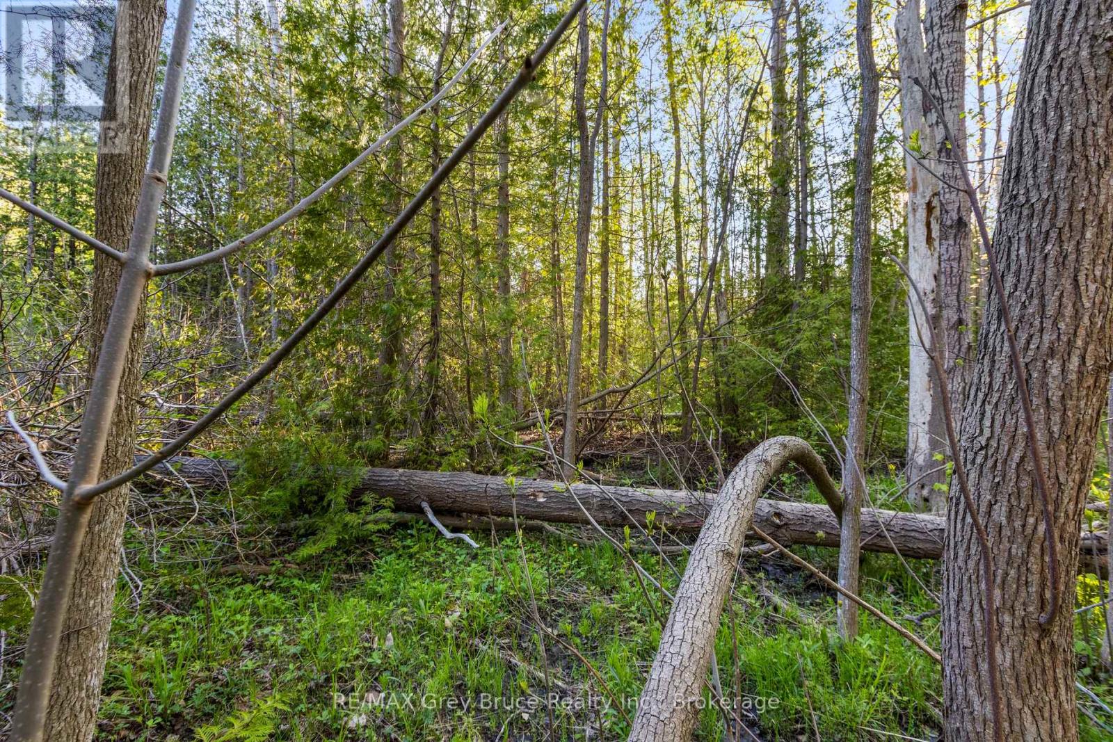 71 Maple Drive, Northern Bruce Peninsula, Ontario  N0H 1Z0 - Photo 13 - X13218886