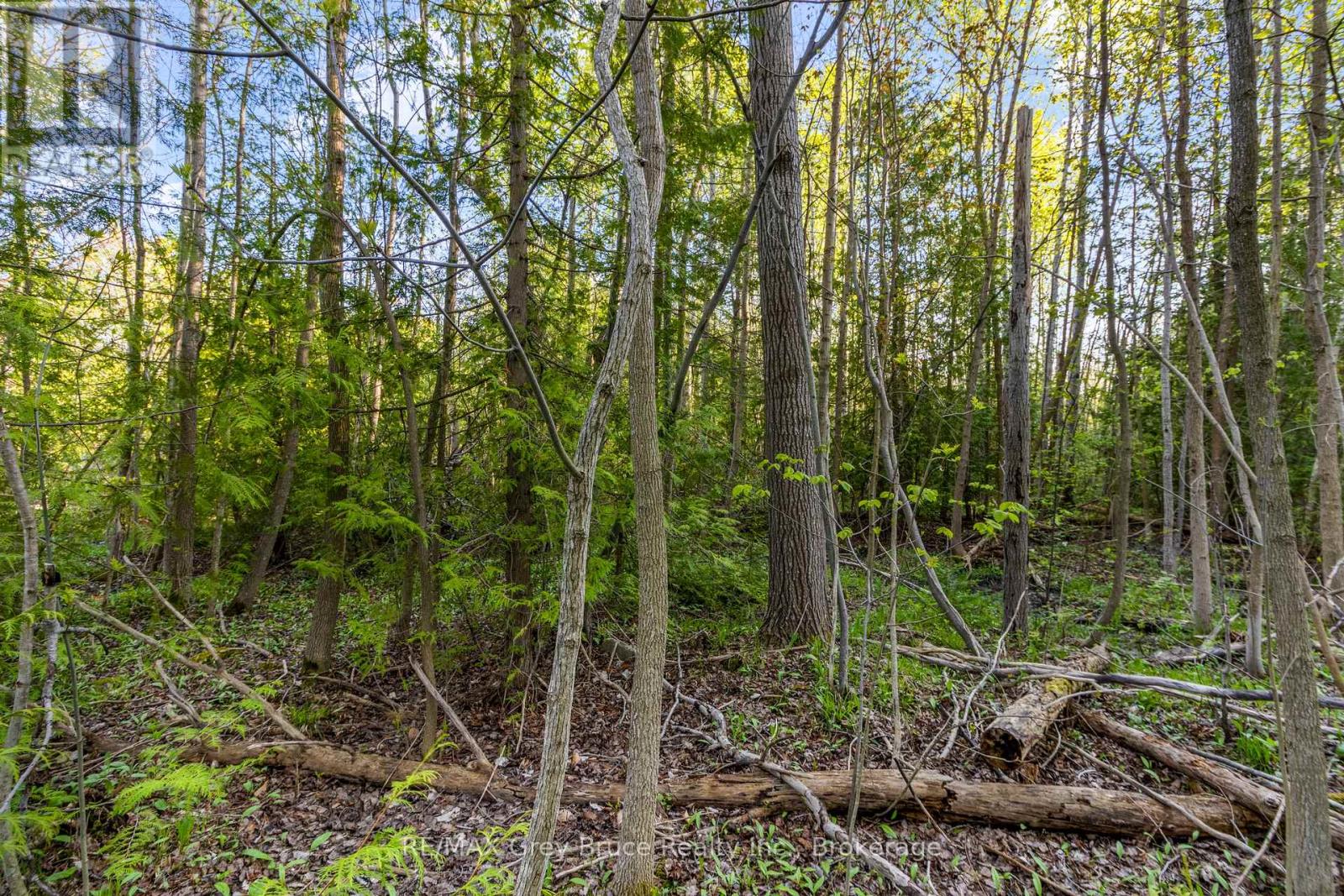71 Maple Drive, Northern Bruce Peninsula, Ontario  N0H 1Z0 - Photo 14 - X13218886