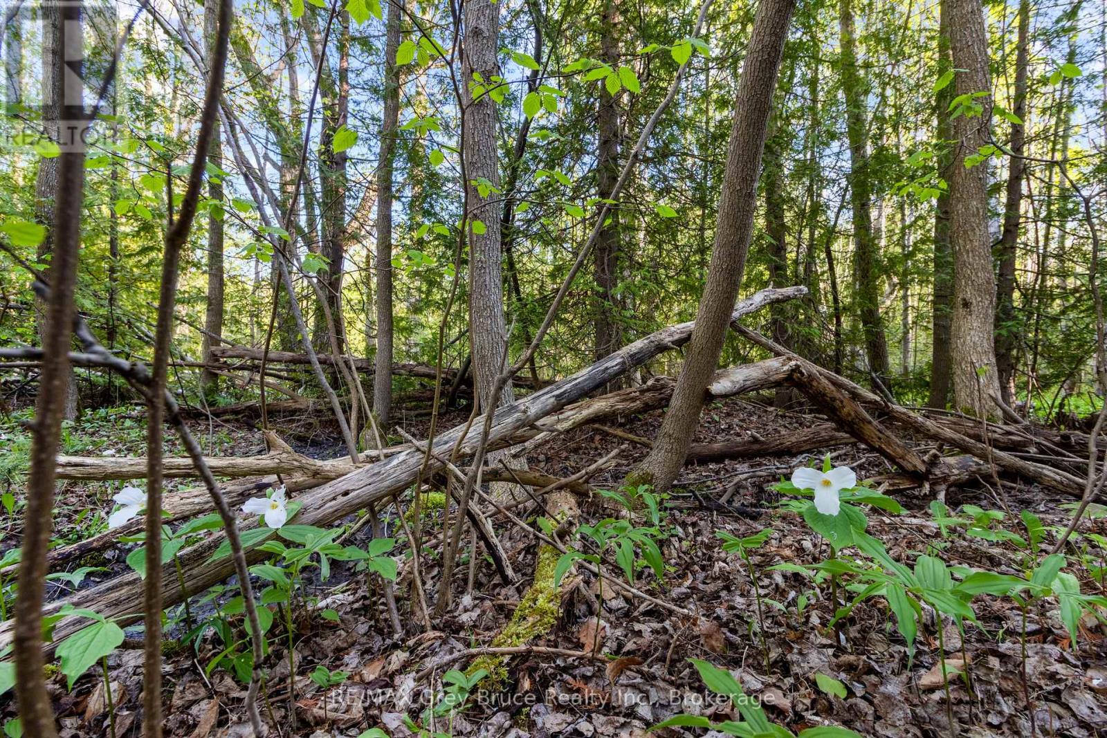 71 Maple Drive, Northern Bruce Peninsula, Ontario  N0H 1Z0 - Photo 15 - X13218886