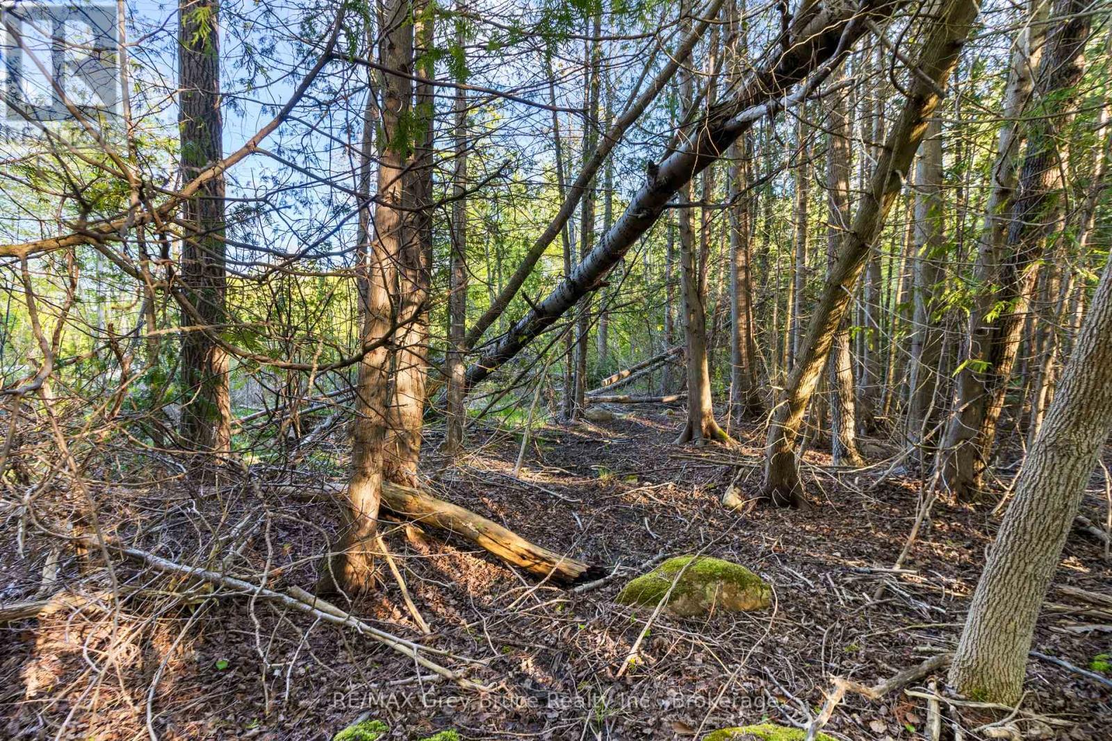 71 Maple Drive, Northern Bruce Peninsula, Ontario  N0H 1Z0 - Photo 16 - X13218886