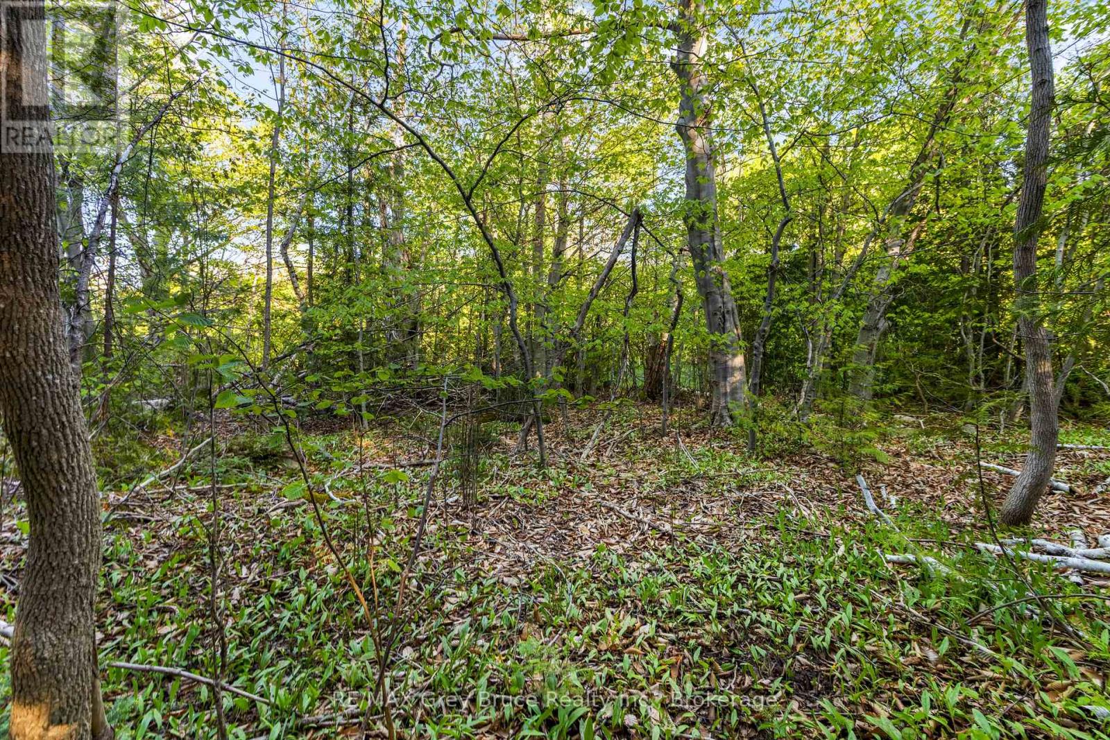 71 Maple Drive, Northern Bruce Peninsula, Ontario  N0H 1Z0 - Photo 17 - X13218886