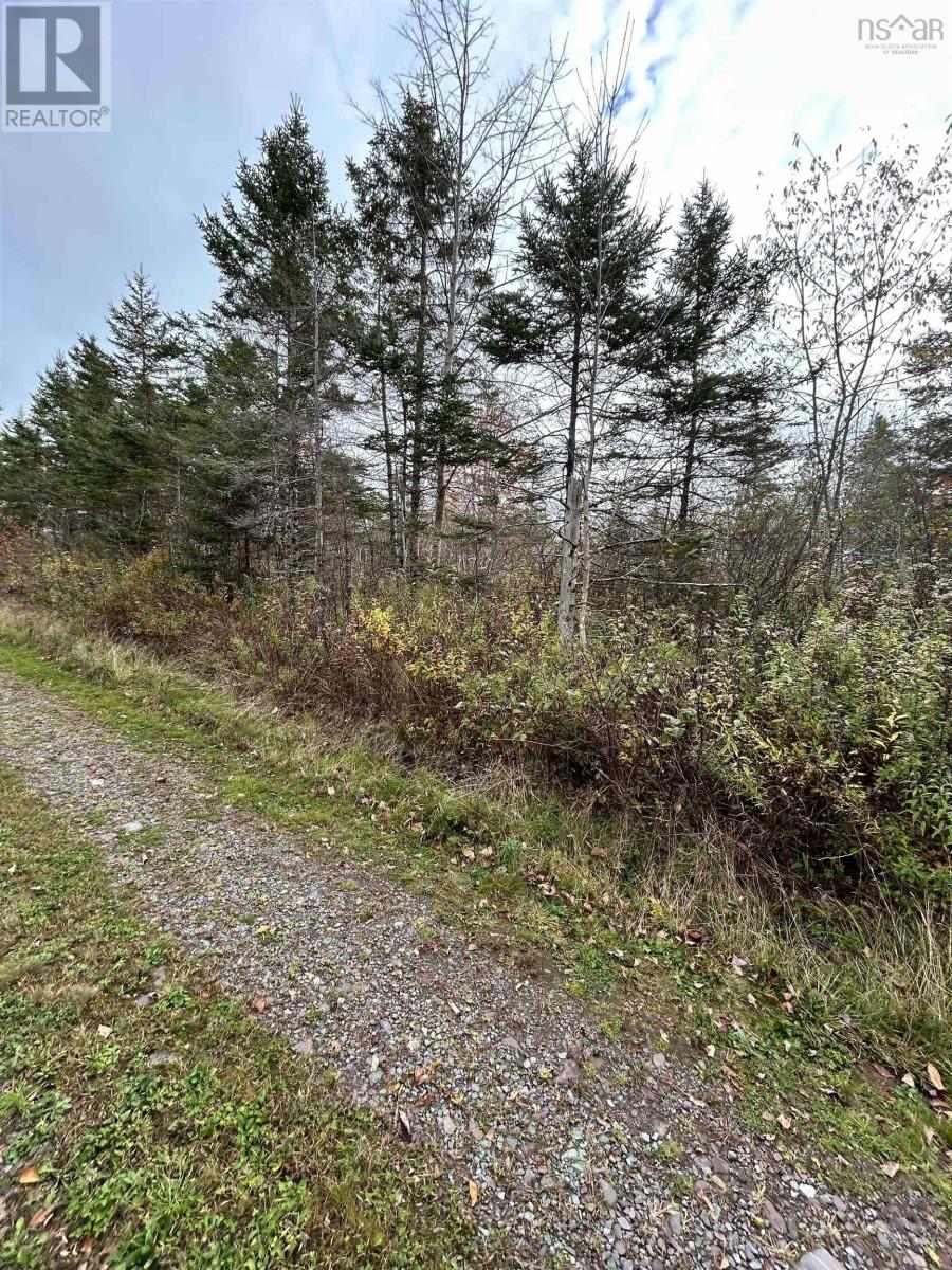 Guysborough Road, St Andrew's, Nova Scotia  B0H 1X0 - Photo 7 - 202605782