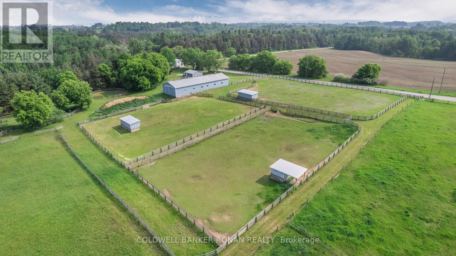 1604 Concession Rd 8, Adjala-Tosorontio, Ontario  L0G 1W0 - Photo 3 - N12883024