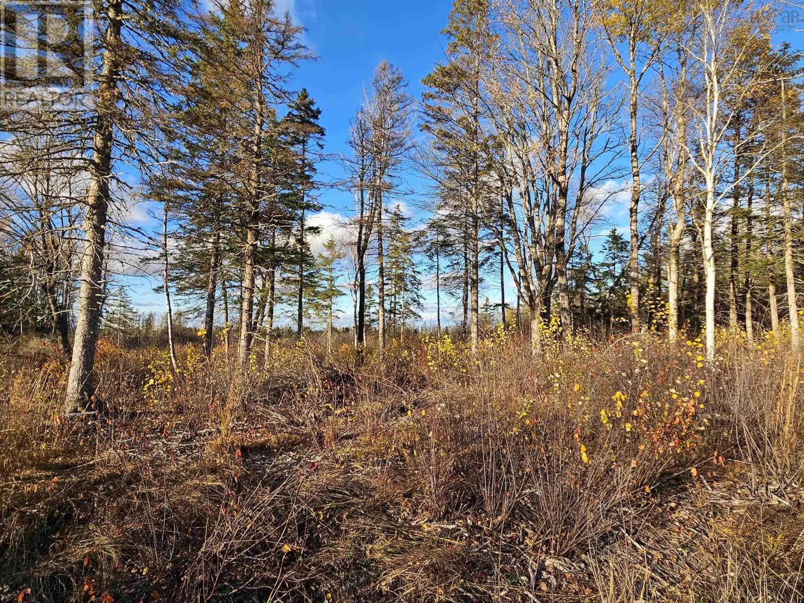 1371 Mines Road, Fenwick, Nova Scotia  B0L 1C0 - Photo 10 - 202527684