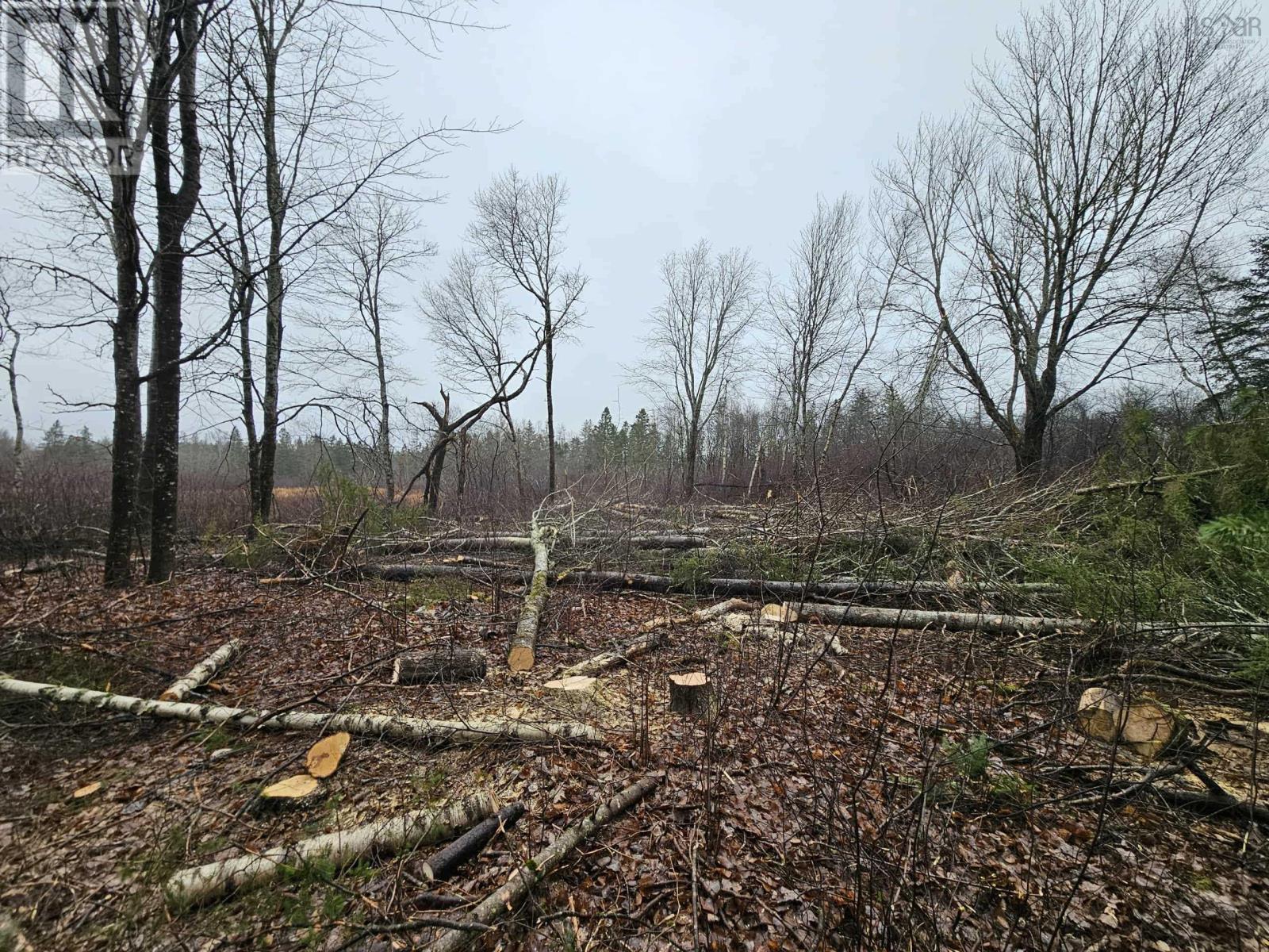 1371 Mines Road, Fenwick, Nova Scotia  B0L 1C0 - Photo 19 - 202527684