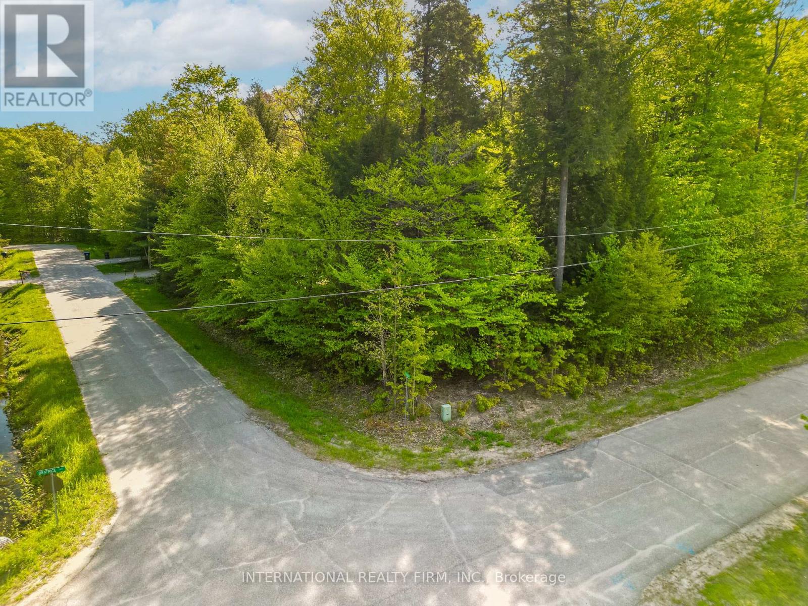 Lt 25 Leonard Road, Tiny, Ontario  L9M 0M7 - Photo 2 - S13219168