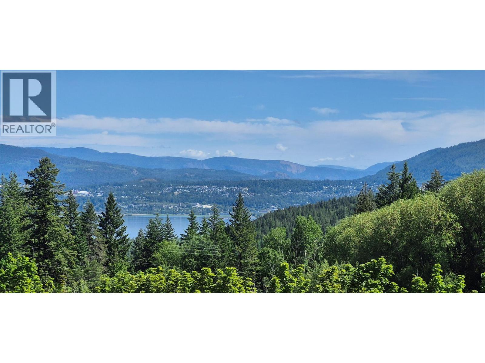 5641 50 Street NW, Salmon Arm, British Columbia  V1E 3A6 - Photo 4 - 10388430