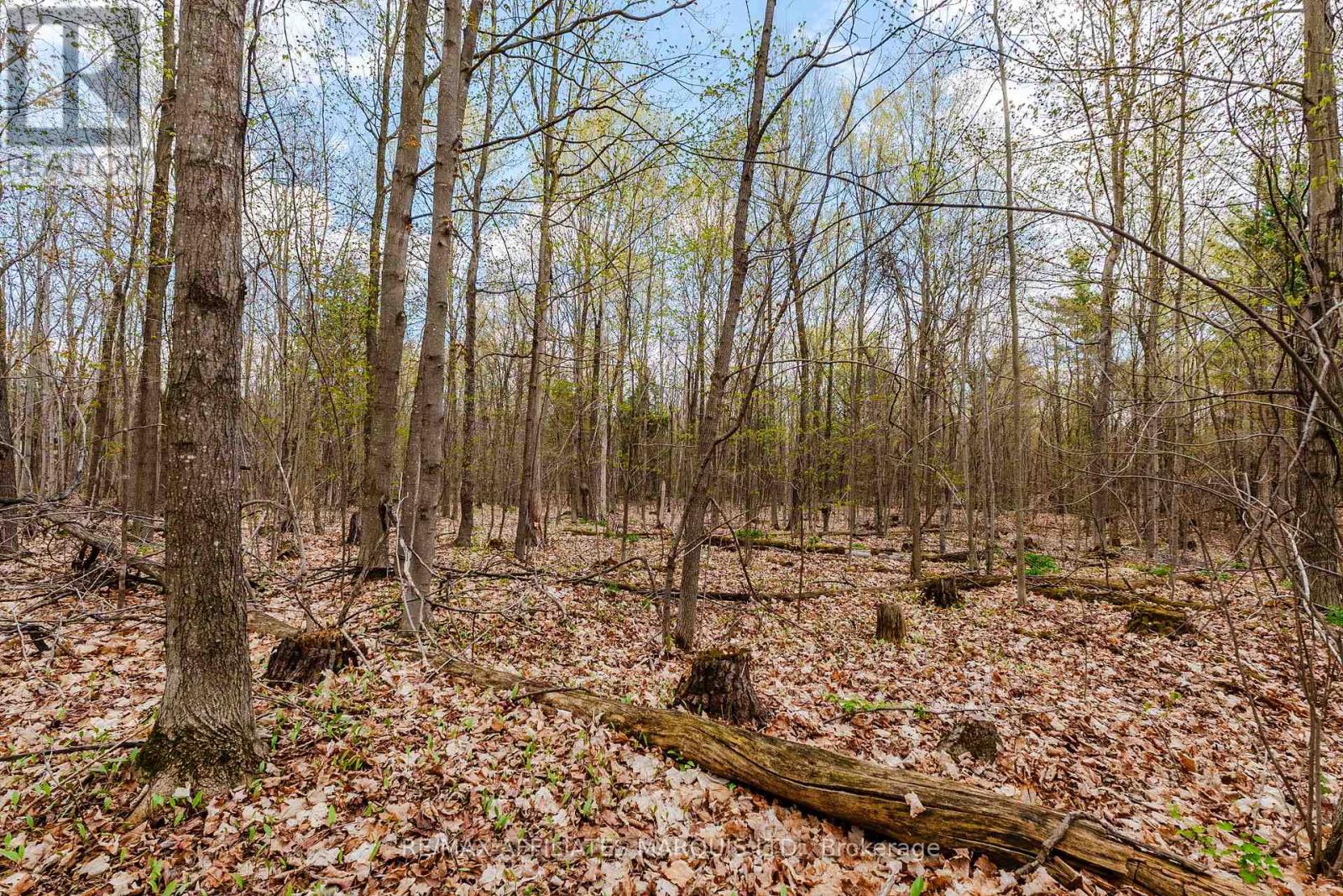 00000 Beaver Brook Road, South Glengarry, Ontario  K0C 1S0 - Photo 10 - X13219398