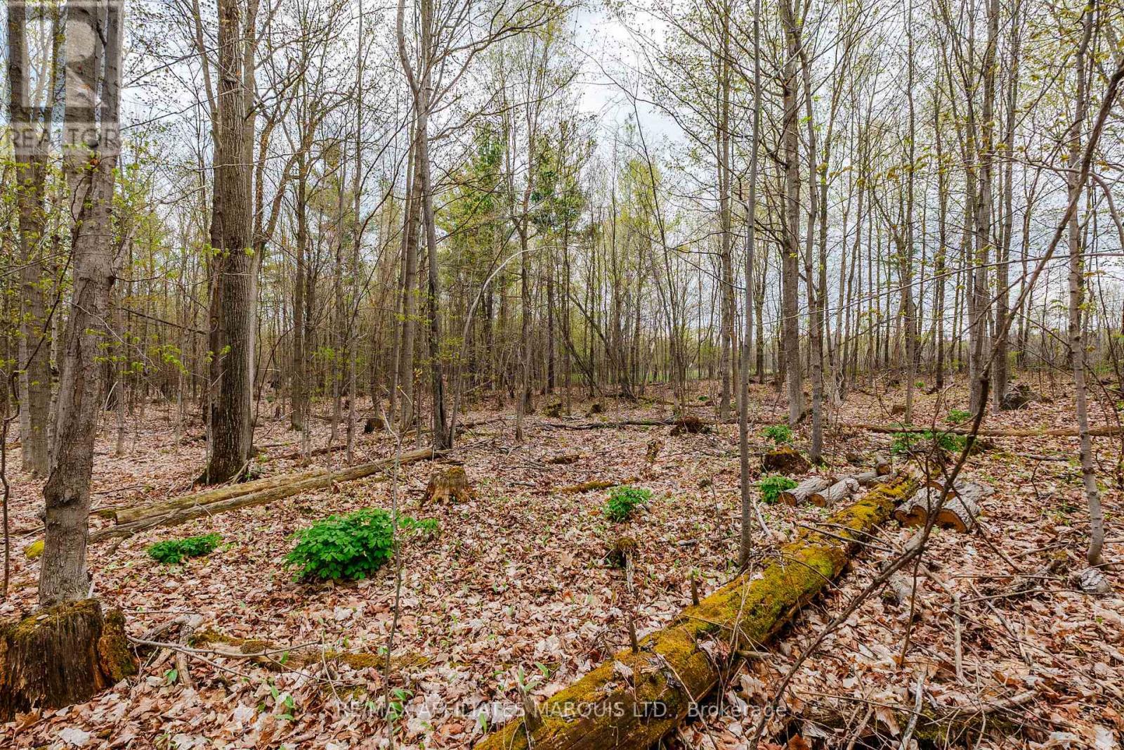 00000 Beaver Brook Road, South Glengarry, Ontario  K0C 1S0 - Photo 12 - X13219398