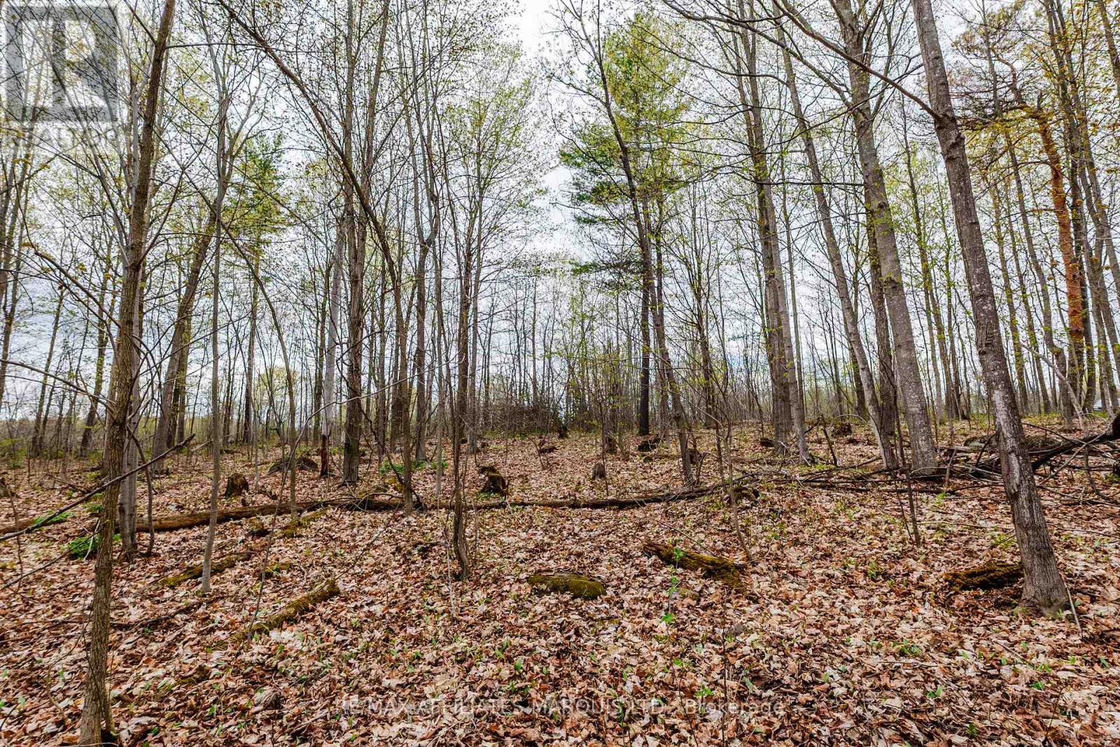 00000 Beaver Brook Road, South Glengarry, Ontario  K0C 1S0 - Photo 13 - X13219398
