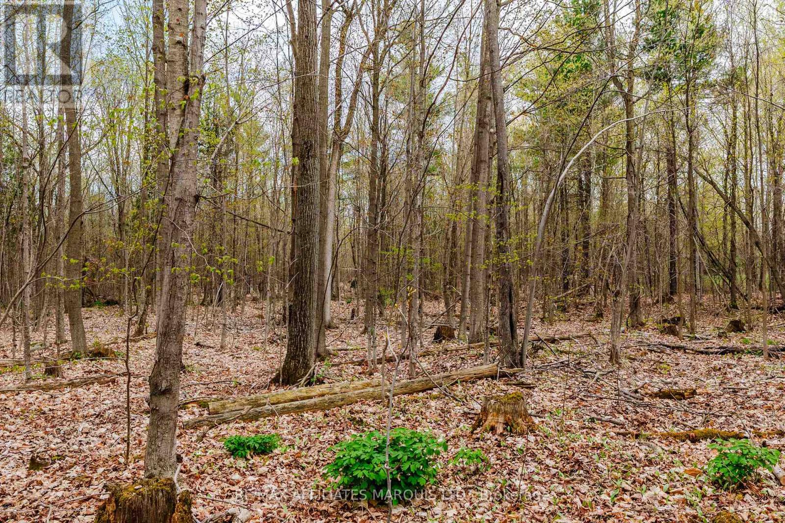 00000 Beaver Brook Road, South Glengarry, Ontario  K0C 1S0 - Photo 14 - X13219398