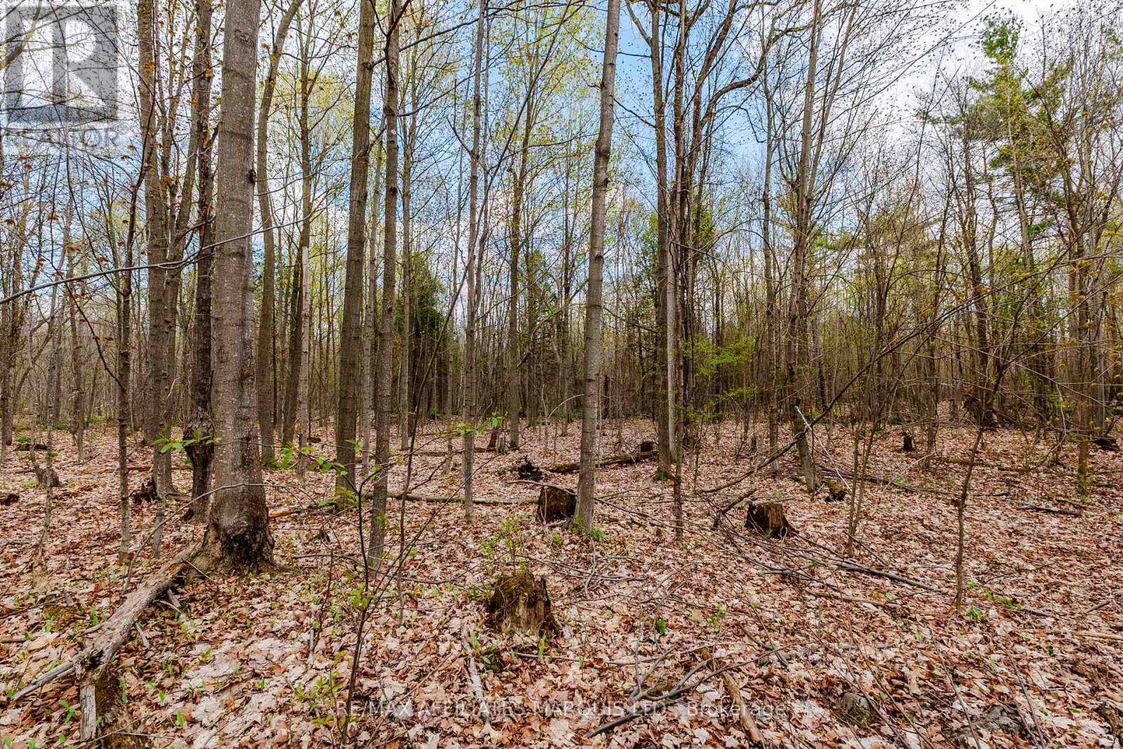 00000 Beaver Brook Road, South Glengarry, Ontario  K0C 1S0 - Photo 15 - X13219398