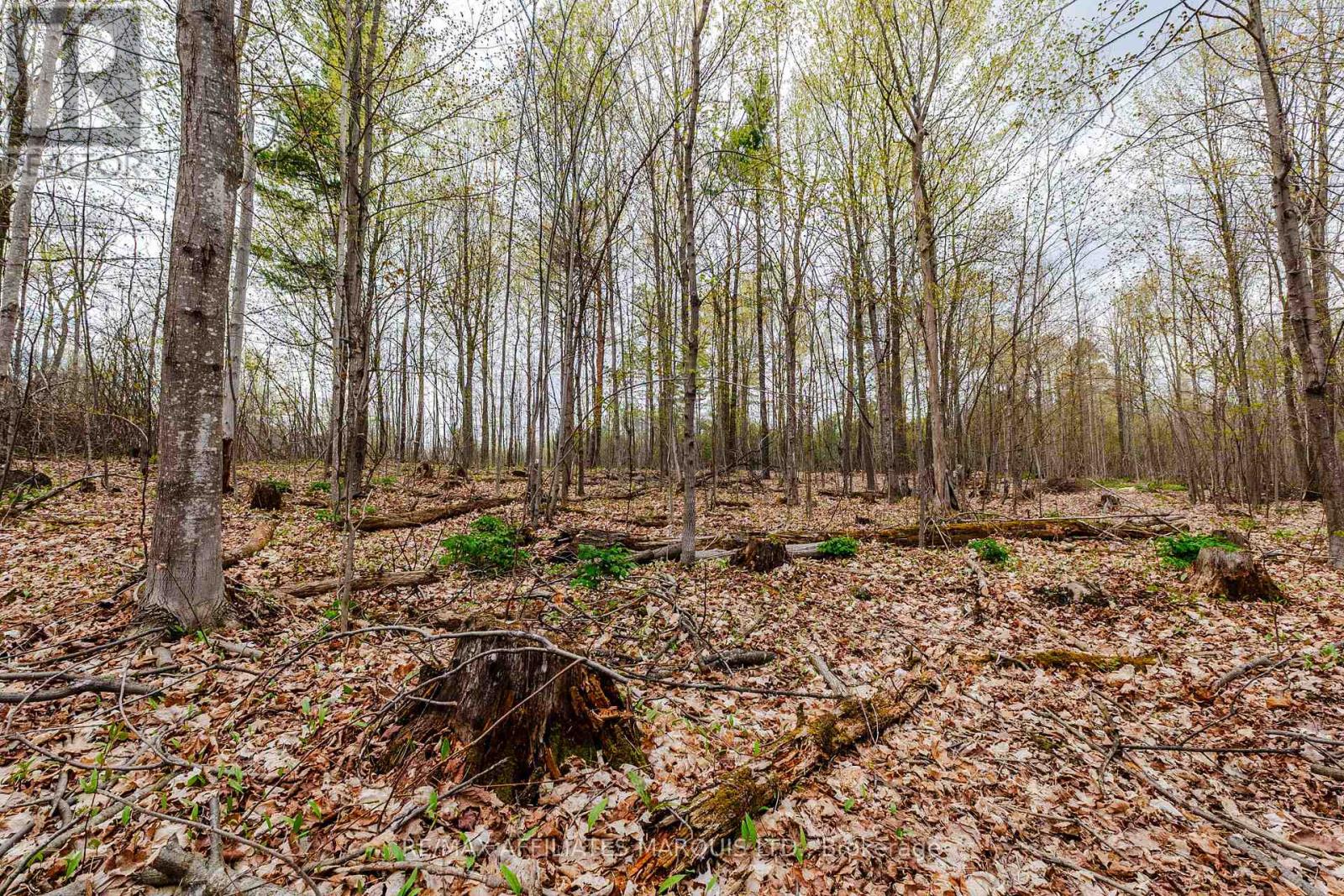 00000 Beaver Brook Road, South Glengarry, Ontario  K0C 1S0 - Photo 16 - X13219398