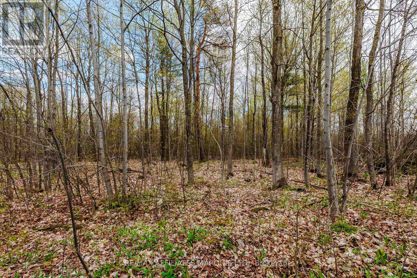 00000 Beaver Brook Road, South Glengarry, Ontario  K0C 1S0 - Photo 8 - X13219398