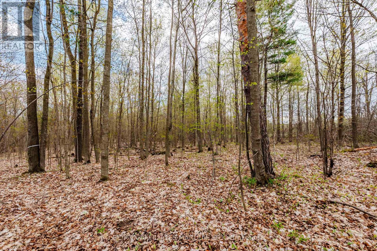 00000 Beaver Brook Road, South Glengarry, Ontario  K0C 1S0 - Photo 9 - X13219398