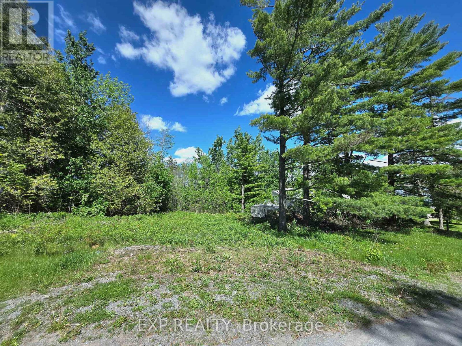 4 Killarney Road, Selwyn, Ontario  K0L 1T0 - Photo 5 - X13166618